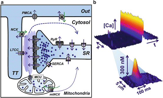 figure 00021