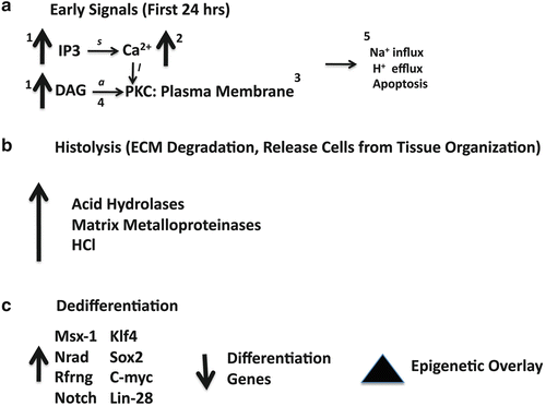 figure 00072