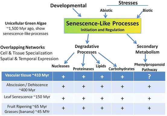 figure 00142