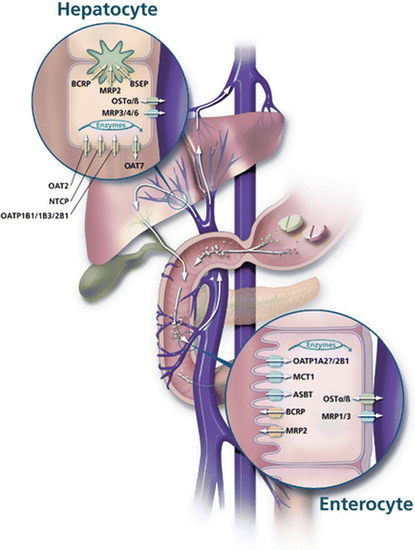 figure 00011