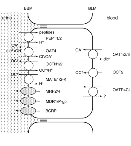 figure 00101