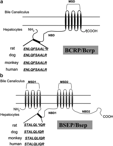 figure 00052