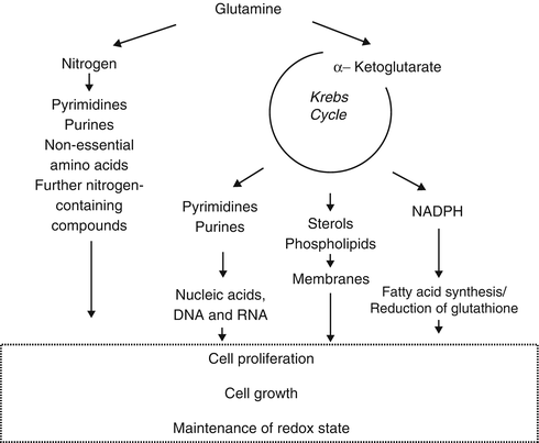 glutathione for wound healing PDF) Glutathione Immobilized Polycaprolactone Nanofiber Mesh as a Dermal  Drug Delivery Mechanism for Wound Healing in a Diabetic Patient