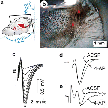 figure 25