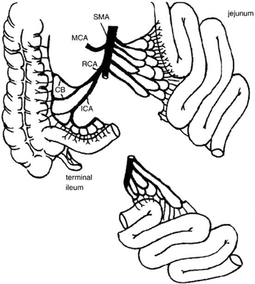 figure 8