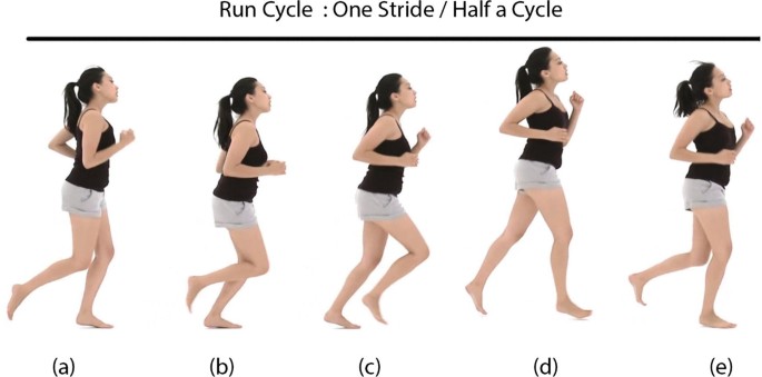 Animating: Walk and Run Cycle | SpringerLink