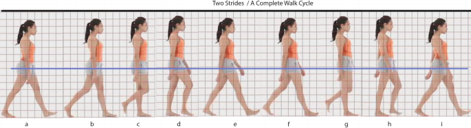 25 Best Walk Cycle Animation Videos and keyframe illustrations | Walking  animation, Animation walk cycle, Animation reference