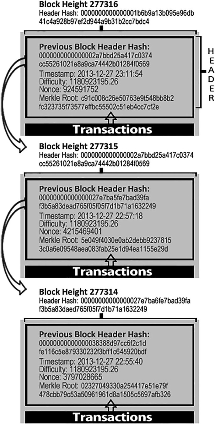 Bitcoin | Springer Nature Link (formerly SpringerLink)
