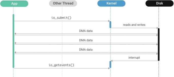 An illustration of input and output of app, thread, kernel, and disk. The app reads and writes data to the kernel. The D M A data is used between the app and the disk.