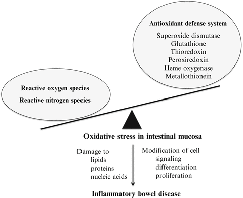 is glutathione safe for kidney stones Oxalate homeostasis