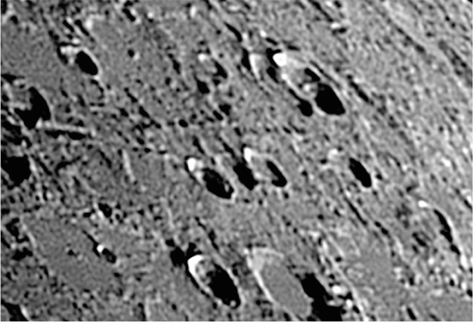 Crater-Hopping: Observing the Moon on Day 5 | SpringerLink