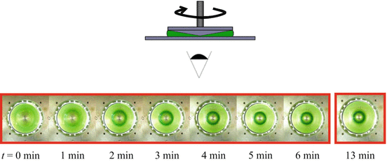 figure 16