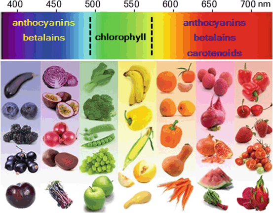 Overview of Plant Pigments | SpringerLink