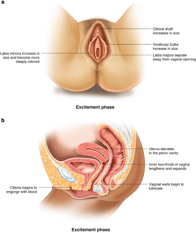 Sexual Excitement In Women