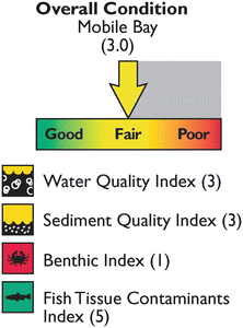 figure 37