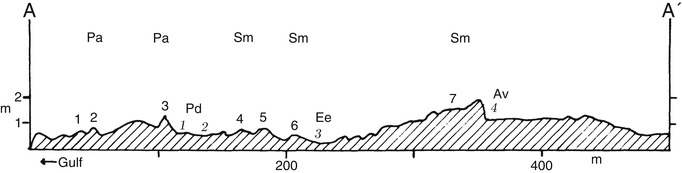 figure 110