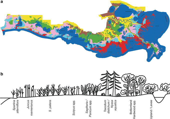 figure 123