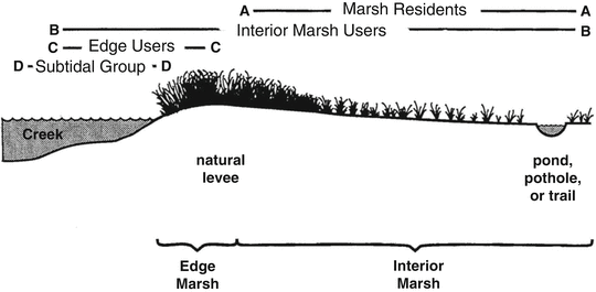 figure 126