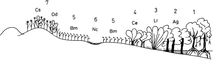 figure 131