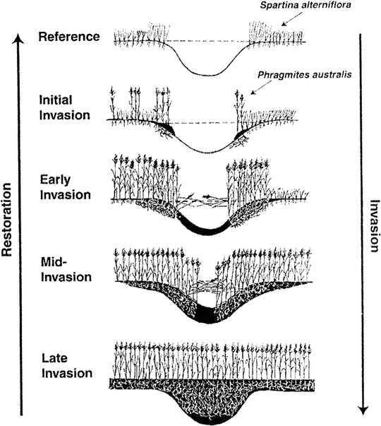 figure 134