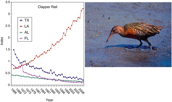 figure 33