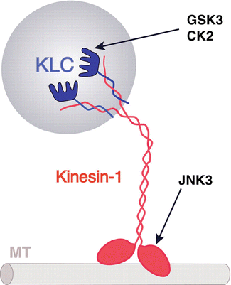 figure 22