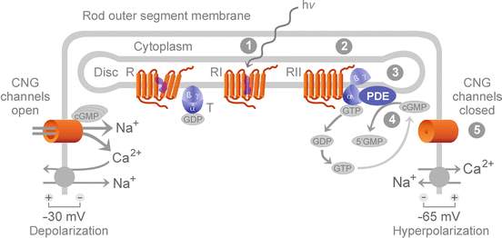 figure 33