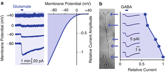 figure 42