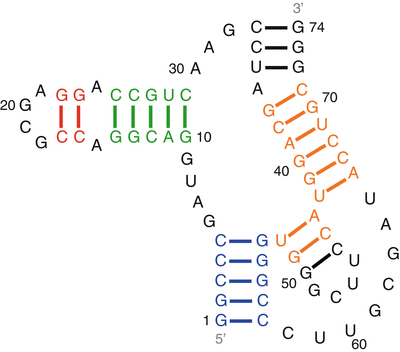Rna Secondary Structure Determination By Nmr Springerlink