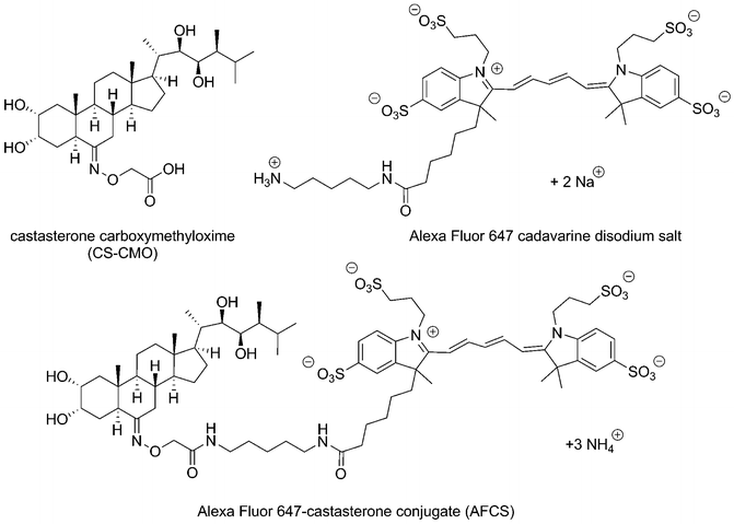 Synthetic Protocol for AFCS: A Biologically Active Fluorescent Castasterone  Analog Conjugated to an Alexa Fluor 647 Dye | SpringerLink