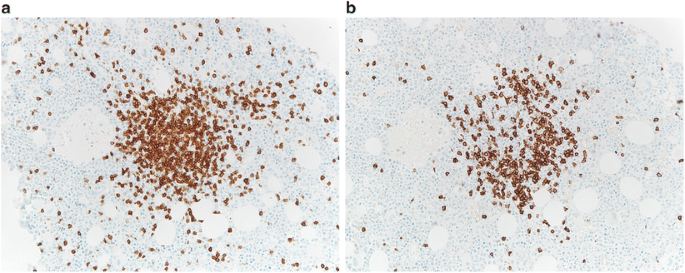 figure 28