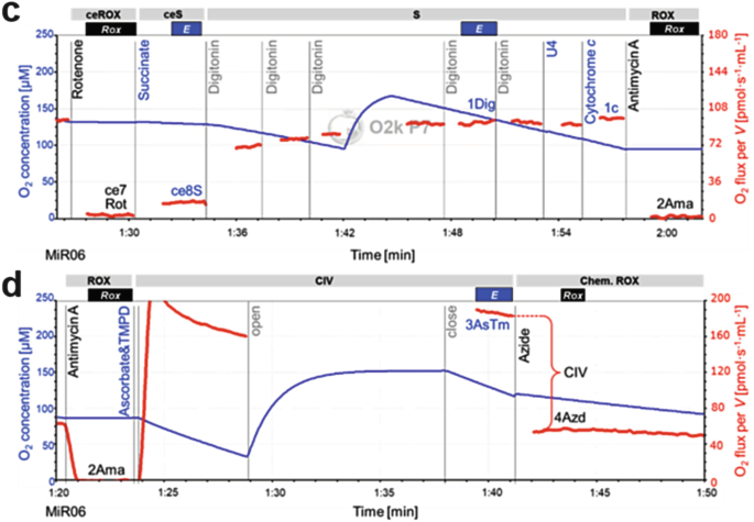 L/R coupling-control ratio - Bioblast