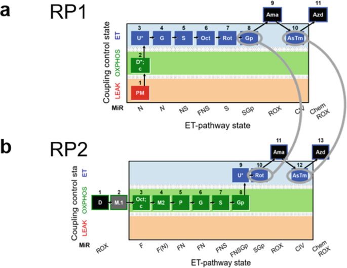 L/R coupling-control ratio - Bioblast