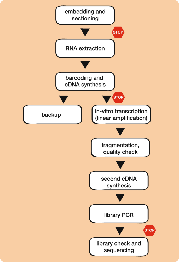 TomoSeq data search