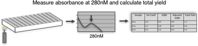 Small scale expression and purification tests – Protein Expression and  Purification Core Facility