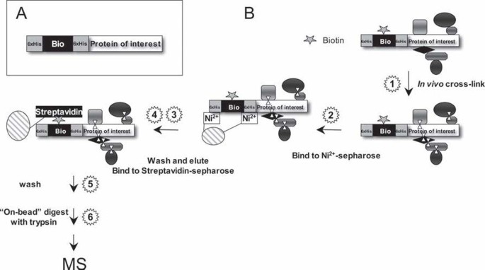 figure 2_21