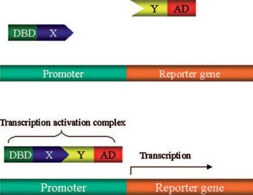 figure 1_22