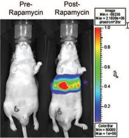 figure 3_23