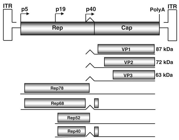 figure 1_2