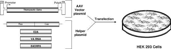 figure 3_2