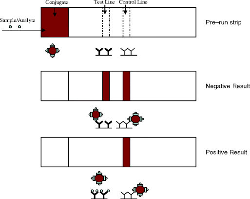 figure 1_3_146051_1_En