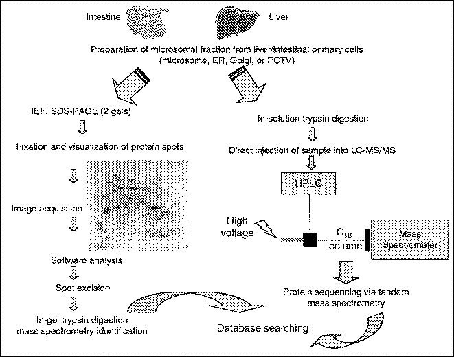 figure 1_17