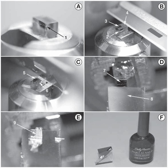 Electron Microscopy Sciences Diamond Scribing Tool Set of 6 Tools & Pin
