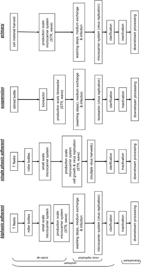 Vaccine Production | SpringerLink Vaccine Production | SpringerLink