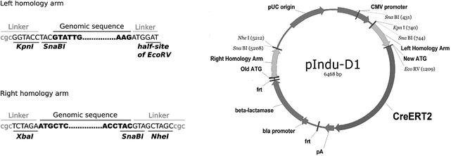 figure 17_2_147593_2_En