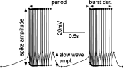 figure 10_2_978-1-59745-520-6