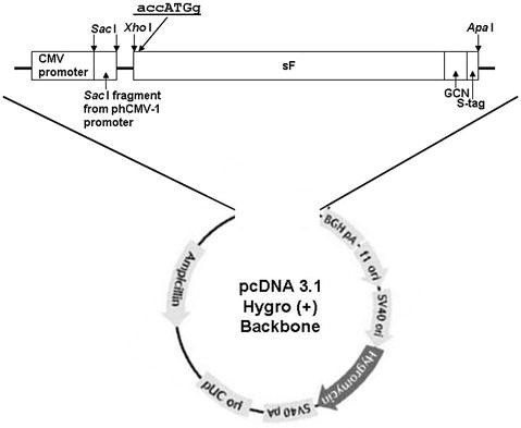 figure 2_1_175969_1_En