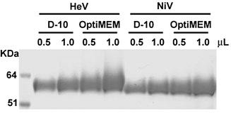 figure 2_3_175969_1_En