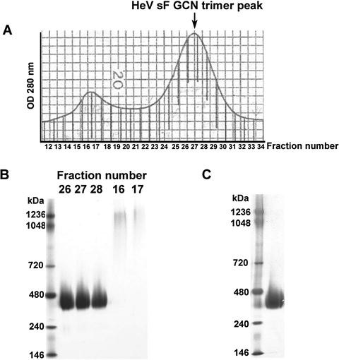 figure 2_6_175969_1_En