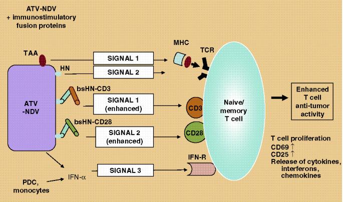 figure 10_30